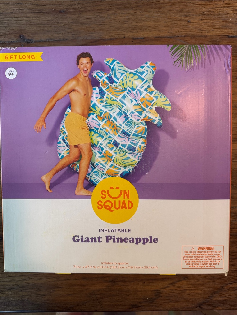 Pineapple Pool Float